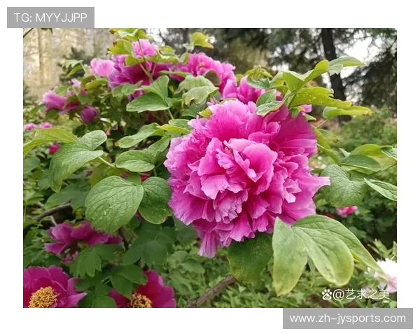 春光明媚踏青季节推荐 十大适合春游的美丽自然景点